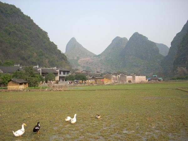 scenery of jiuxian village